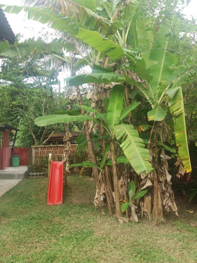 Villa Lepá com Cozinha privativa Boicucanga Esterno foto
